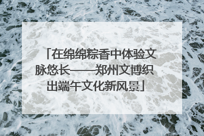 在绵绵粽香中体验文脉悠长——郑州文博织出端午文化新风景